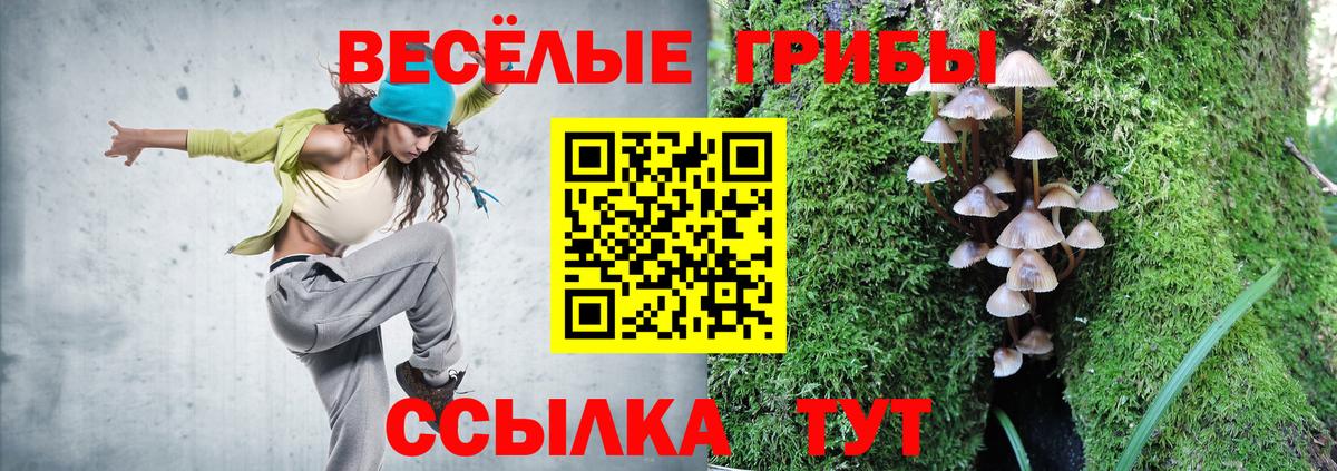 Галлюциногенные грибы GOLDEN TEACHER  Вход с VPN  Гусиноозёрск 